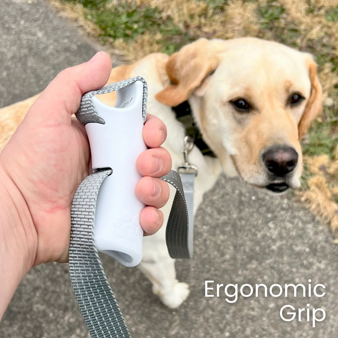Quick-Control Dog Leash