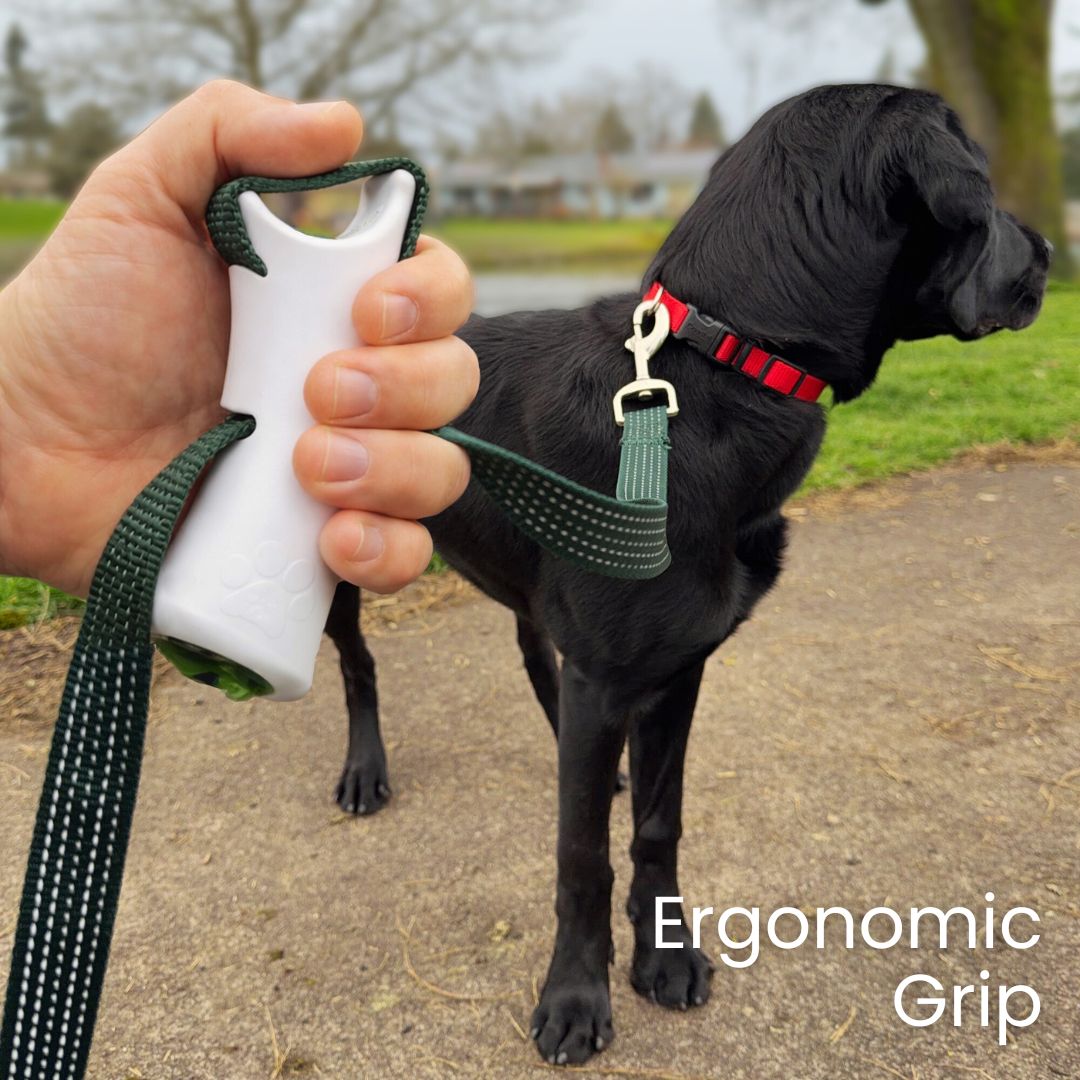 Quick-Control Dog Leash