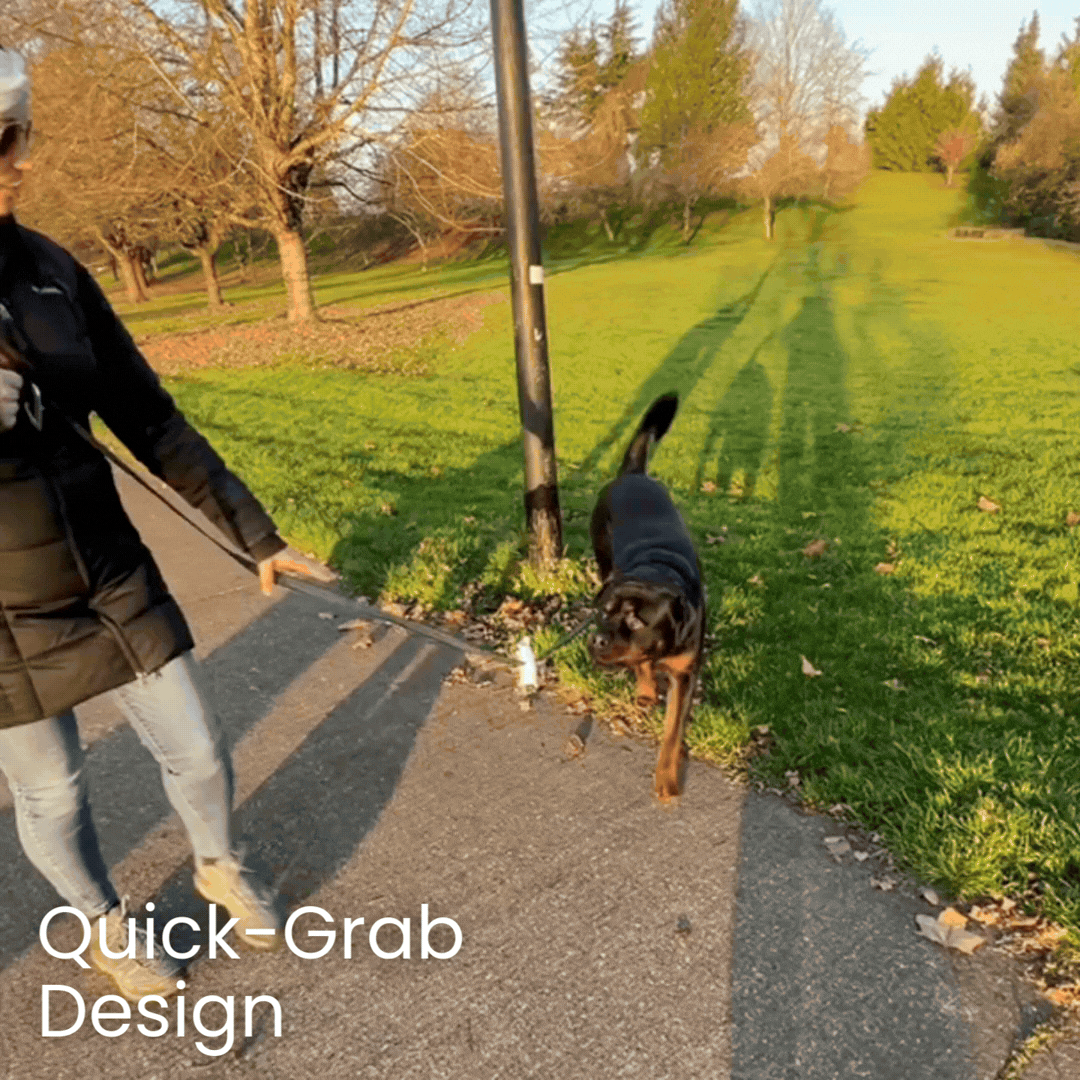 Quick-Control Dog Leash