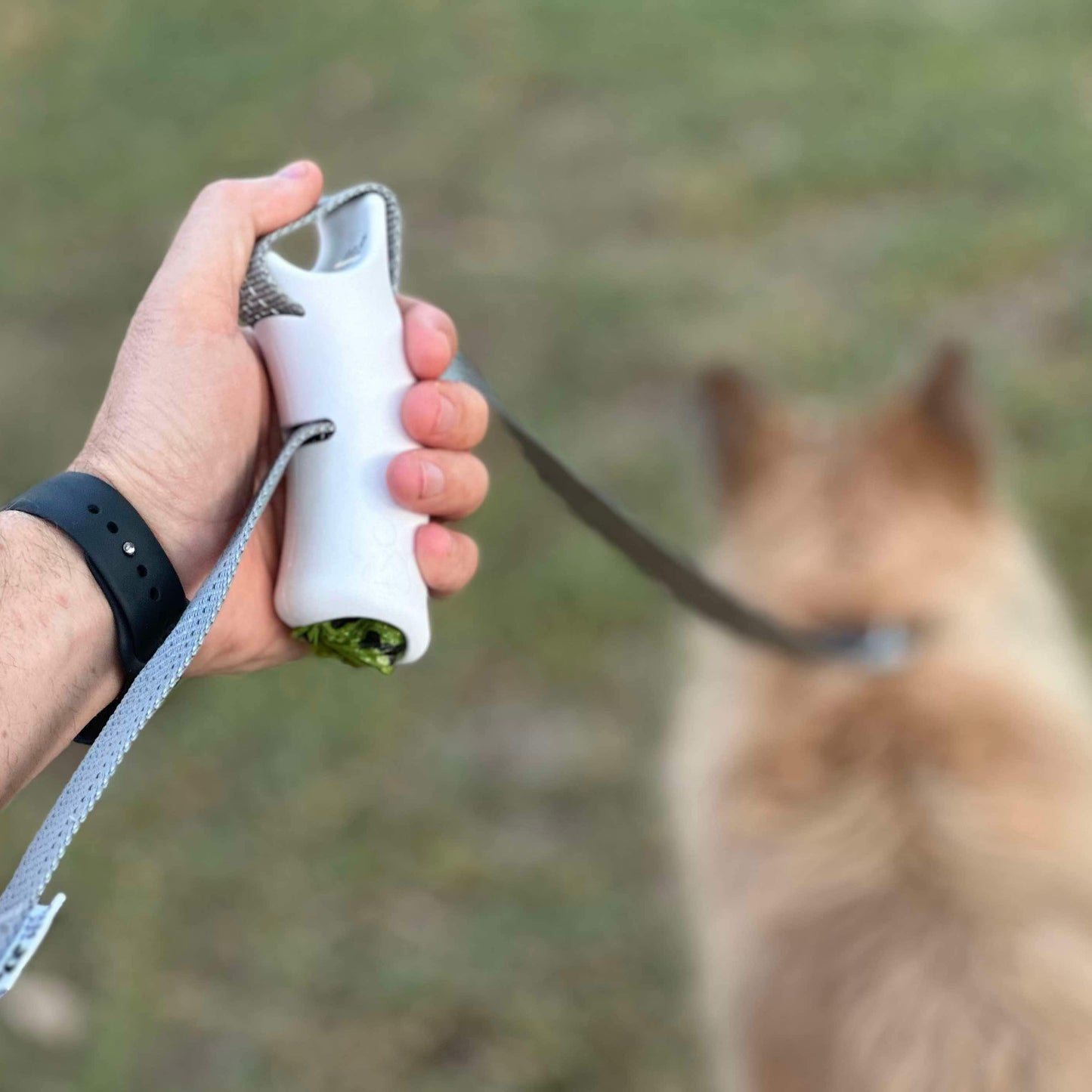 Quick-Control Dog Leash