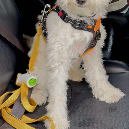 Quick-Control™ Adjustable Traffic Leash