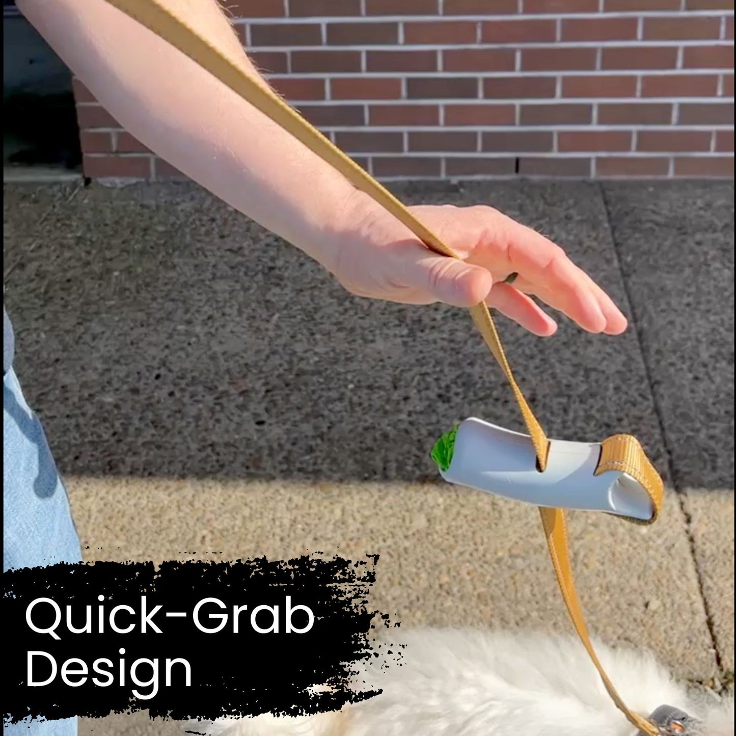 Quick-Control Dog Leash