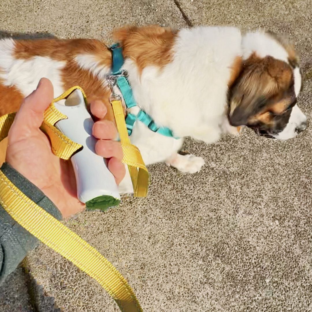 Quick-Control™ Adjustable Traffic Leash